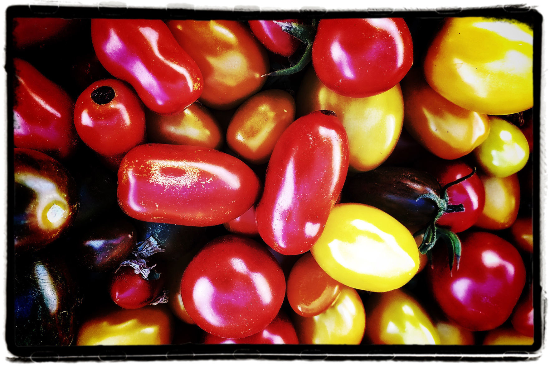 Farmers Market Produce